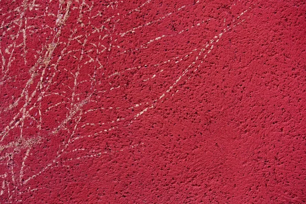 Parede vermelha com padrão de brotos de hera . — Fotografia de Stock