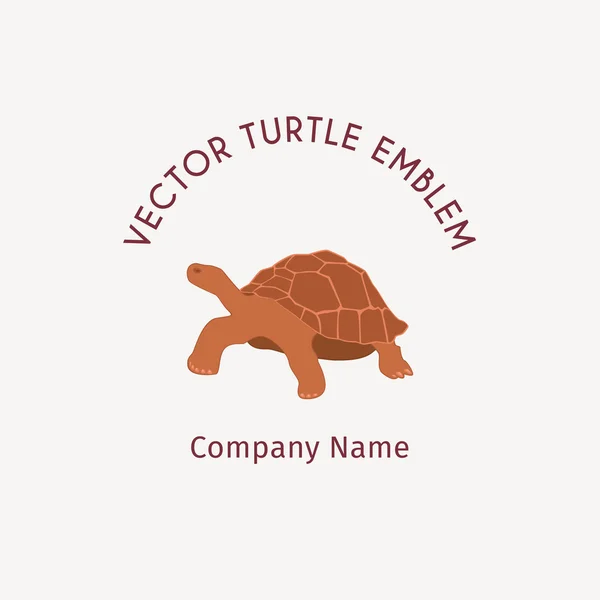 Turtle logotyp mall — Stock vektor