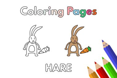 Çizgi film Tavşan Boyama Kitabı