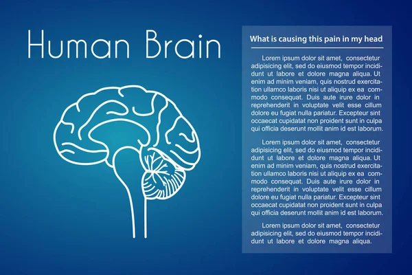 Διάνυσμα ανθρώπινο εγκέφαλο μπλε φόντο — Διανυσματικό Αρχείο