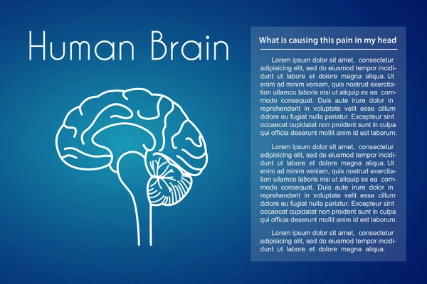 Vecteur cerveau humain fond bleu Graphismes Vectoriels