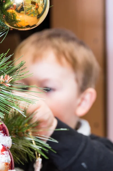 Een kerstboom — Stockfoto