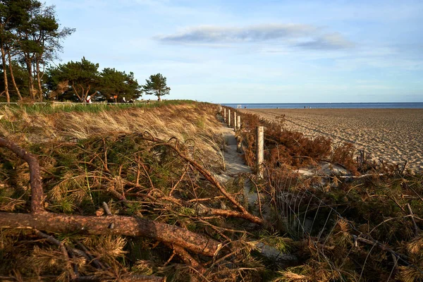 Hel Pomerania Poland July 2020 Beach Promenade Hel Town Pomerania — Stock Photo, Image