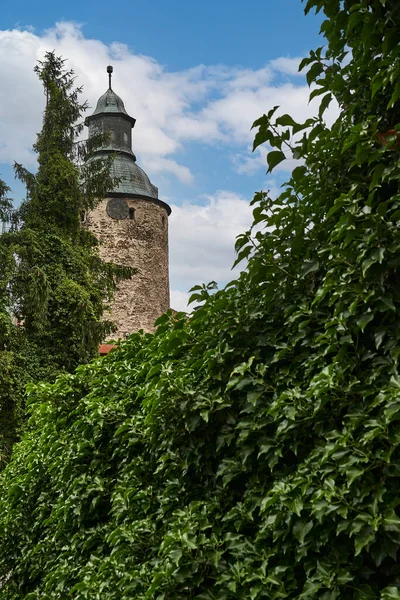 Ldoes Basse Silésie Pologne Juillet 2021 Vue Château Czoch Lesna — Photo