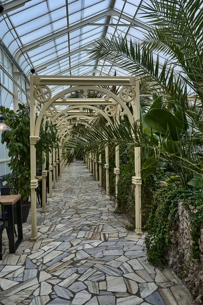 Lots Arches Archway Plants — Stock Photo, Image