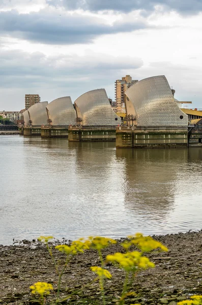 Thames bariyer — Stok fotoğraf