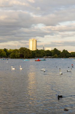 Londra'nın merkezinde Hyde parkı