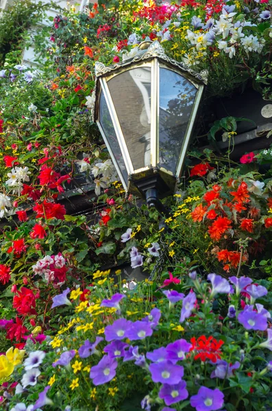 Лампа и цветы — стоковое фото