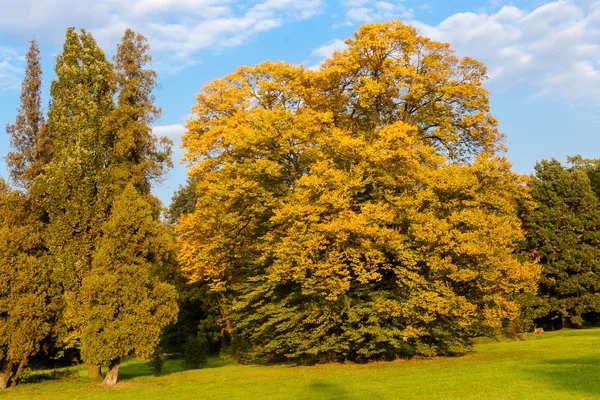 Park Stockfoto