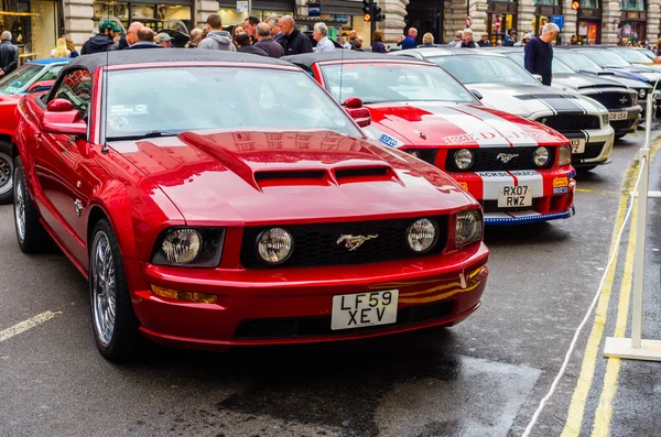 Mustangi — Zdjęcie stockowe