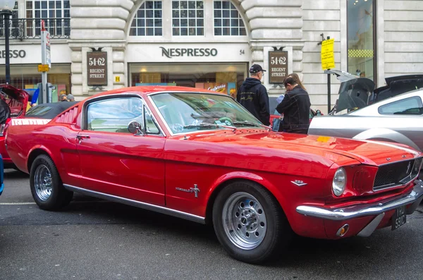 Mustangs. — Foto de Stock