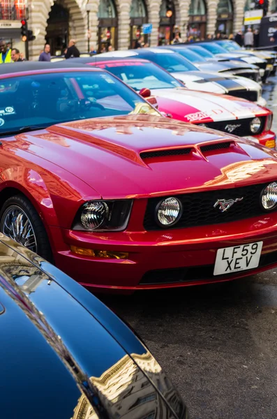 Mustangs — Stockfoto