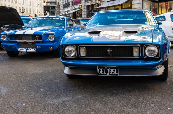 Mustangs — Stockfoto