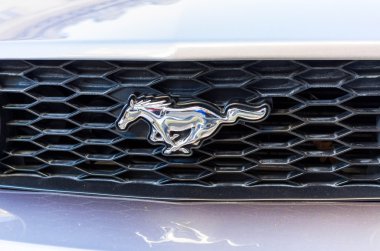 mustangs