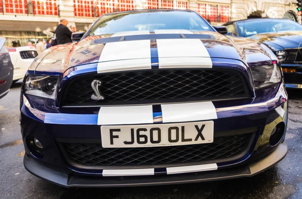 Mustangs. — Foto de Stock