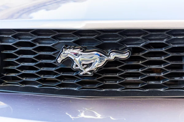Mustangs — Stockfoto