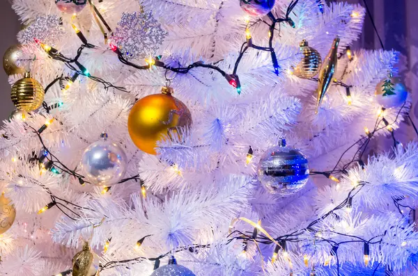 Blauer Smas-Baum — Stockfoto