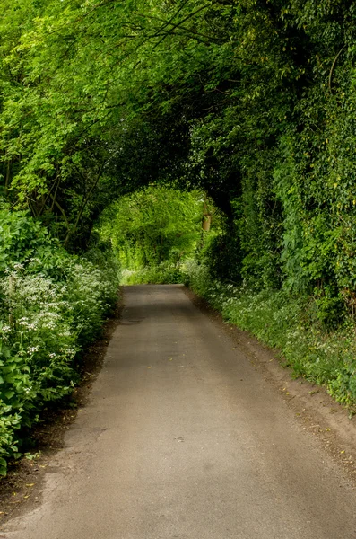 Wooden tunnel — Stock Photo, Image