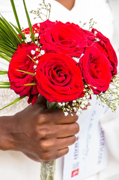 De rode rozen — Stockfoto
