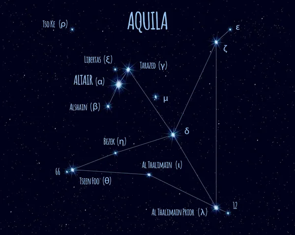 Aquila Adelaar Constellatie Vectorillustratie Met Namen Van Basissterren Tegen Sterrenhemel — Stockvector