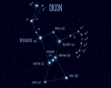 Orion constellation, vector illustration with the names of basic stars against the starry sky clipart