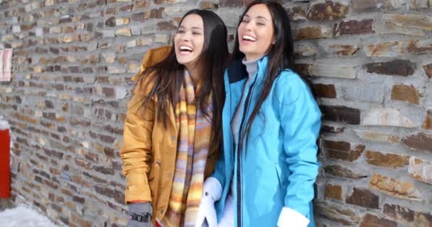 Tvillingar i jackor och handskar nära tegelvägg — Stockvideo