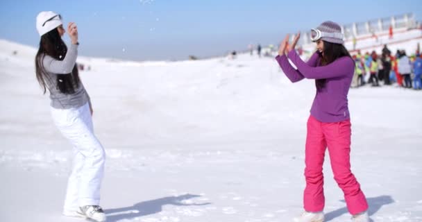 Two women having snow fight — Stock Video