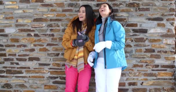 Jumeaux en vestes et gants près du mur de briques — Video