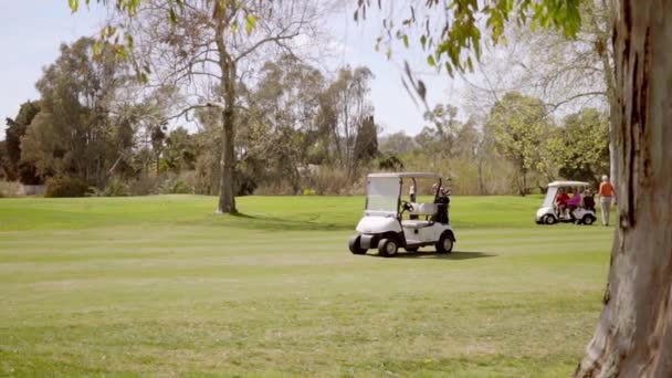 Carrinhos de golfe em curso — Vídeo de Stock