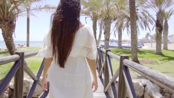 목조 다리에 걷는 여자 — 비디오