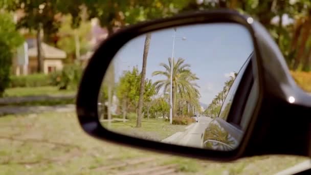 Weergave van palmbomen en road — Stockvideo