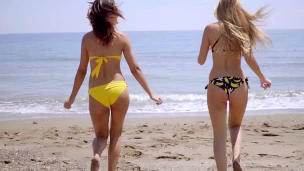 Amigos femininos se divertindo na praia — Vídeo de Stock