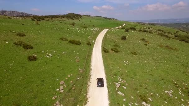 Route avec voiture de conduite — Video