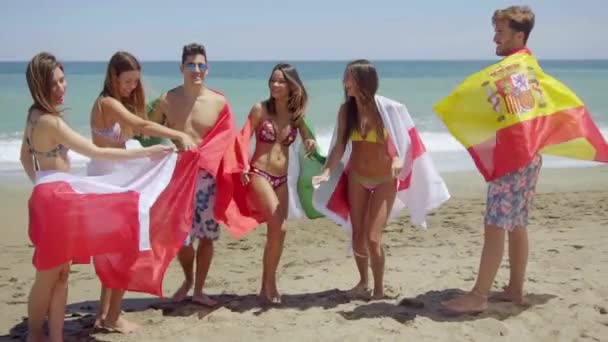 People posing with flags of countries — Stock Video