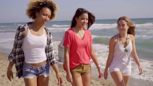 Amigos do sexo feminino andando na praia e falando — Vídeo de Stock