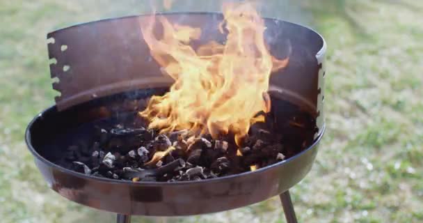Дрова горят в мангале — стоковое видео