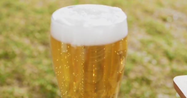 Glas fris koud biertje — Stockvideo