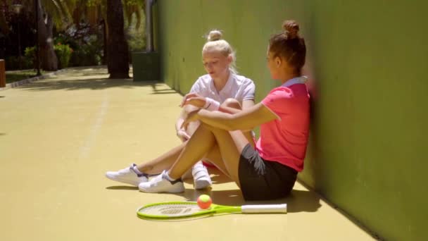 Vrouwen praten met elkaar op de Hof — Stockvideo