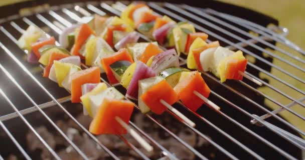 Gebakken groenten op grill — Stockvideo