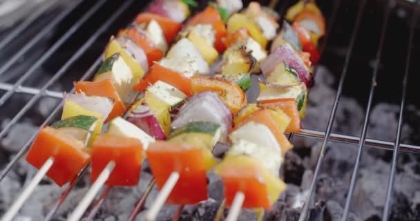 Smażone warzywa na grilla — Wideo stockowe