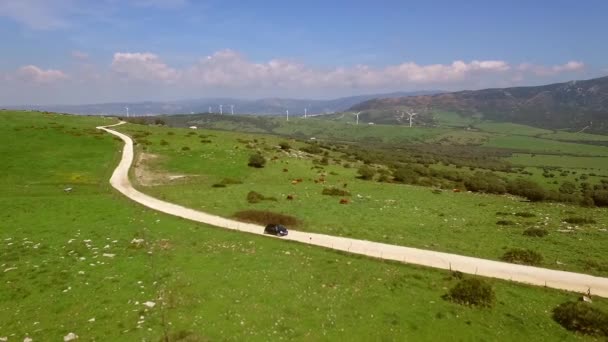 Carretera con coche de conducción — Vídeos de Stock