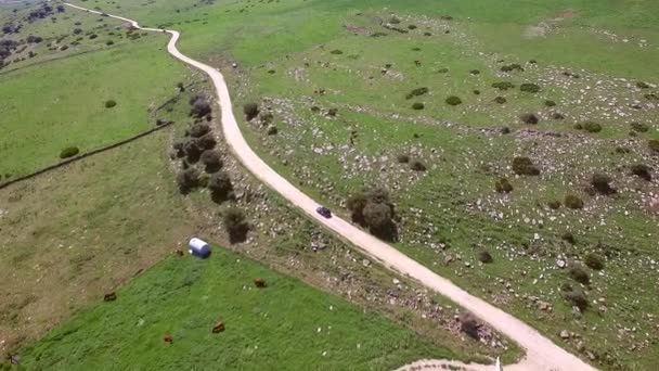 Carretera con coche de conducción — Vídeos de Stock