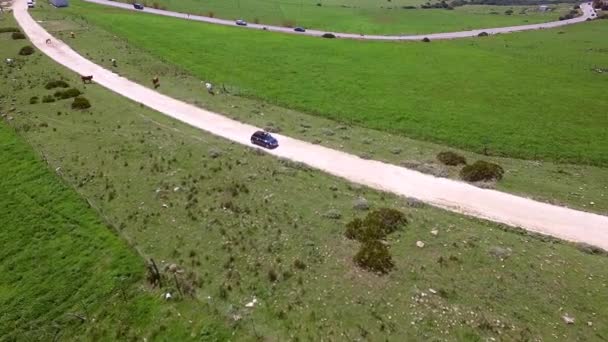 Carretera con coche de conducción — Vídeo de stock