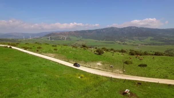 Carretera con coche de conducción — Vídeo de stock