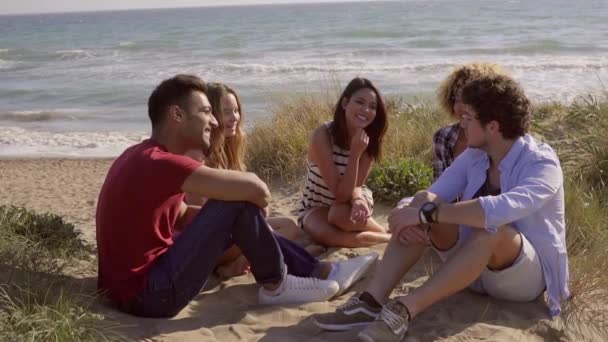 Teenagers sitting on beach and talking — Stock Video