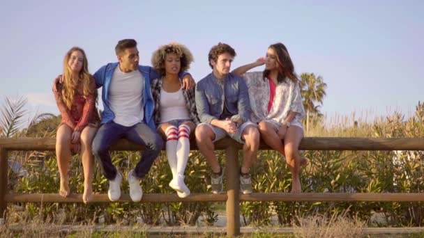 Friends sitting on wooden plank and talking — Stock Video