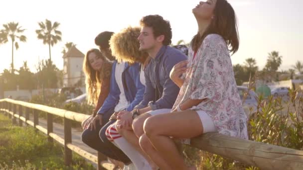 Friends sitting on wooden plank and talking — Stock Video