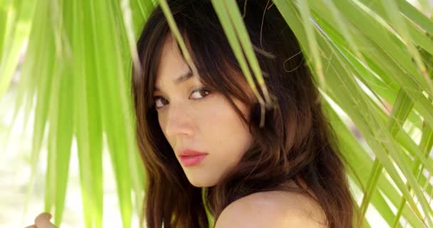 Calm young woman in shade of palm leaves — Stock Video