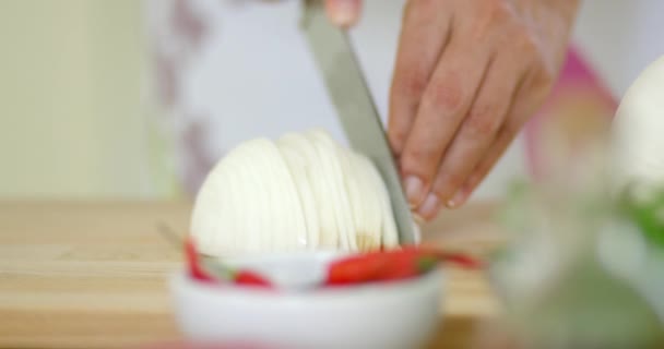 Close up on hands Cutting onion — Stock Video