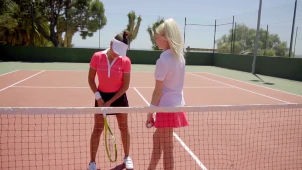 Женщины в спортивной одежде позируют на теннисном корте — стоковое видео